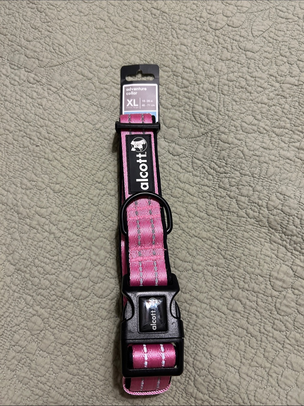Alcott adventure collar